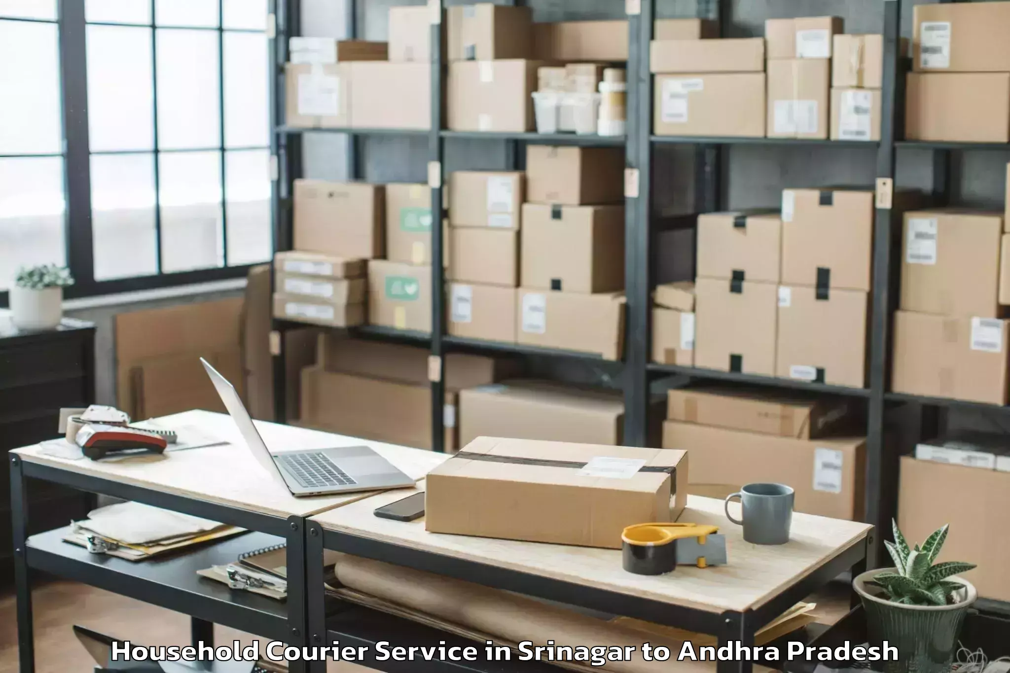 Reliable Srinagar to Nandyal Household Courier